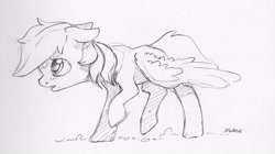 Size: 2153x1208 | Tagged: safe, artist:dilarus, ponerpics import, rainbow dash, pegasus, pony, cute, dashabetes, deleted from derpibooru, ears, female, floppy ears, mare, monochrome, simple background, sketch, solo, traditional art, white background