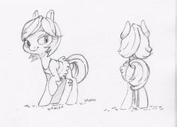 Size: 2150x1542 | Tagged: safe, artist:dilarus, ponerpics import, oc, oc only, earth pony, pony, deleted from derpibooru, monochrome, simple background, traditional art, white background