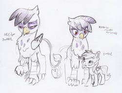 Size: 2248x1721 | Tagged: safe, artist:dilarus, ponerpics import, gilda, rainbow dash, griffon, pegasus, pony, colored, deleted from derpibooru, dialogue, dweeb, simple background, size difference, smol, smoldash, traditional art, white background