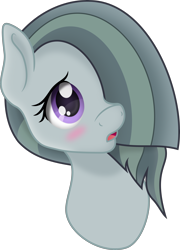 Size: 3000x4174 | Tagged: safe, artist:dilarus, artist:negatif22, ponerpics import, marble pie, earth pony, pony, unicorn, blushing, bust, deleted from derpibooru, female, mare, open mouth, portrait, solo, vector