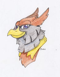 Size: 1163x1489 | Tagged: safe, artist:dilarus, ponerpics import, oc, oc only, oc:peregrine, griffon, deleted from derpibooru, dungeons and dragons, griffon oc, pen and paper rpg, ponyfinder, rpg, solo, traditional art