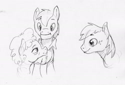 Size: 2186x1483 | Tagged: safe, artist:dilarus, ponerpics import, big macintosh, grand pear, granny smith, earth pony, pony, deleted from derpibooru, female, male, mare, monochrome, simple background, stallion, traditional art, white background