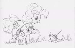 Size: 2402x1537 | Tagged: safe, artist:dilarus, ponerpics import, pinkie pie, sweetie belle, twilight sparkle, earth pony, pony, unicorn, comic:sweetie belle—master of twilights, comic:the many faces of twilight sparkle, deleted from derpibooru, female, filly, horn, mare, monochrome, open mouth, simple background, species swap, traditional art, wat, white background