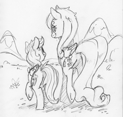 Size: 1671x1581 | Tagged: safe, artist:dilarus, ponerpics import, fluttershy, rainbow dash, pegasus, pony, deleted from derpibooru, female, mare, monochrome, rear view, simple background, size difference, smoldash, tallershy, traditional art, white background