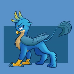 Size: 2048x2048 | Tagged: safe, artist:pfeffaroo, derpibooru import, gallus, griffon, chest fluff, looking back, male, solo, strut, talons