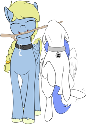 Size: 2629x3867 | Tagged: safe, artist:barhandar, oc, oc:snow pup, oc:windswept skies, pegasus, pony, behaving like a dog, charm, collar, duo, ears, eyes closed, female, flat colors, floppy ears, hanging, male, mare, mouth hold, pet play, pet tag, simple background, smiling, stallion, stick, transparent background, unshorn fetlocks