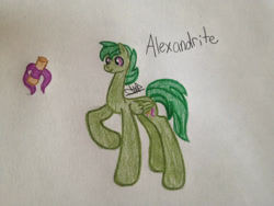 Size: 2048x1536 | Tagged: safe, artist:akajulester, derpibooru import, oc, oc only, oc:alexandrite, dracony, hybrid, pegasus, pony, colored pencil drawing, colt, cutie mark, interspecies offspring, male, offspring, parent:rarity, parent:spike, parents:sparity, scroll, solo, traditional art