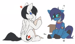 Size: 2176x1286 | Tagged: safe, artist:beardie, derpibooru import, oc, oc only, oc:fridge, oc:revan grey, pegasus, pony, robot, robot pony, female, male