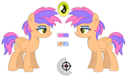 Size: 4096x2500 | Tagged: safe, artist:ponkus, derpibooru import, oc, oc:nimbus, pegasus, pony, female, mare, reference sheet, solo