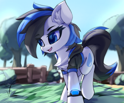 Size: 2137x1783 | Tagged: safe, artist:jfrxd, derpibooru import, oc, oc:blueseapony, earth pony, pony, solo