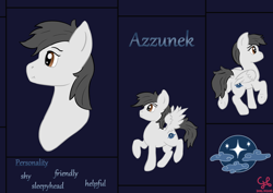 Size: 2480x1754 | Tagged: safe, artist:dumbprincess, derpibooru import, oc, oc:azzunek, pegasus, pony, bust, cutie mark, dark background, front view, full body, multiple views, rear view, reference sheet, side view, text