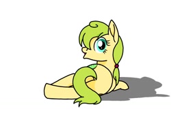 Size: 1024x768 | Tagged: safe, artist:windy breeze, derpibooru import, oc, earth pony, both cutie marks, butt, female, food, kiwi (fruit), looking back, lying down, mare, not apple fritter, on side, plot, shadow, simple background, solo, white background