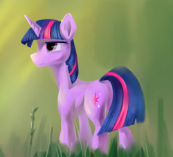 Size: 3022x2744 | Tagged: safe, artist:770418gyygy, derpibooru import, twilight sparkle, pony, unicorn, female, grass, high res, mare, solo