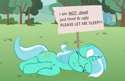 Size: 6435x4180 | Tagged: safe, anonymous artist, derpibooru import, lyra heartstrings, /mlp/, drawthread, eyes closed, l.u.l.s., ponified animal photo, sign, sleeping