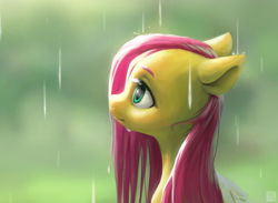 Size: 2892x2117 | Tagged: safe, artist:bunchedupletters, derpibooru import, fluttershy, pegasus, pony, blurry background, bust, cute, daaaaaaaaaaaw, female, high res, looking up, mare, portrait, profile, qr code, rain, shyabetes, simple background, smiling, solo, wet, wet mane