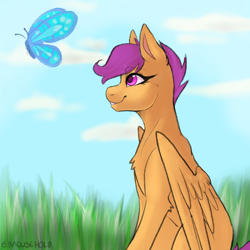 Size: 2048x2048 | Tagged: safe, artist:holomouse, derpibooru import, scootaloo, butterfly, pegasus, pony, solo