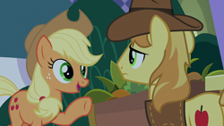 Size: 1920x1080 | Tagged: safe, derpibooru import, screencap, applejack, braeburn, earth pony, pony, the summer sun setback, female, male, mare, stallion