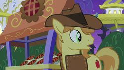 Size: 1920x1080 | Tagged: safe, derpibooru import, screencap, braeburn, earth pony, pony, the summer sun setback, male, solo, stallion