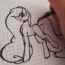 Size: 1080x1080 | Tagged: safe, artist:tessa_key_, derpibooru import, oc, oc only, earth pony, pony, earth pony oc, eyelashes, graph paper, lineart, solo