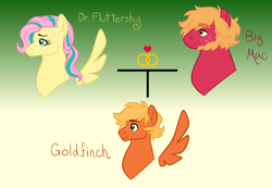 Size: 2600x1800 | Tagged: safe, artist:akajulester, derpibooru import, big macintosh, fluttershy, oc, oc:goldfinch, earth pony, pegasus, pony, alternate universe, beard, colt, facial hair, family tree, female, floating wings, fluttermac, gradient background, male, mare, offspring, parent:big macintosh, parent:fluttershy, parents:fluttermac, shipping, stallion, straight, wings
