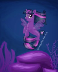 Size: 1080x1350 | Tagged: safe, artist:mmy_little_drawings, derpibooru import, twilight sparkle, seapony (g4), female, horn, seaponified, seapony twilight, smiling, solo, species swap, underwater, watermark, wings