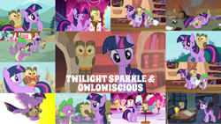 Size: 1280x721 | Tagged: safe, derpibooru import, edit, edited screencap, editor:quoterific, screencap, applejack, fluttershy, owlowiscious, pinkie pie, spike, twilight sparkle, twilight sparkle (alicorn), unicorn twilight, alicorn, bird, dragon, earth pony, owl, pegasus, pony, unicorn, do princesses dream of magic sheep, just for sidekicks, may the best pet win, owl's well that ends well, twilight's kingdom, bag, book, bowtie, brush, candle, carousel boutique, destroyed, duo, duo female, explosion, eyes closed, falling, female, glowing horn, golden oaks library, hopping, horn, magic, magic aura, male, night, open mouth, quill, sad, saddle bag, tired, trio