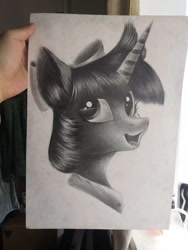 Size: 1080x1440 | Tagged: safe, artist:henry forewen, derpibooru import, twilight sparkle, alicorn, pony, female, monochrome, photo, sketch