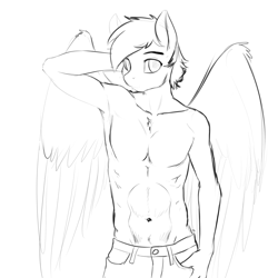 Size: 1200x1200 | Tagged: safe, artist:d-lowell, oc, oc only, anthro, pegasus, abs, black and white, clothes, grayscale, looking at you, male, monochrome, pants, partial nudity, sketch, solo, spread wings, stallion, topless, wings