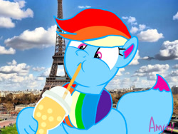 Size: 1280x960 | Tagged: safe, artist:徐詩珮, derpibooru import, oc, oc:rainbow eevee, france, not rainbow dash, paris