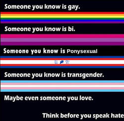 Size: 640x628 | Tagged: safe, bisexual pride flag, exploitable meme, gay pride flag, implied rainbow dash, ponysexual pride flag, ponysexuality flag, pride, pride flag, transgender pride flag