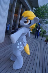 Size: 957x1440 | Tagged: safe, derpibooru import, derpy hooves, human, clothes, cosplay, costume, fursuit, irl, irl human, japan, japan ponycon, photo