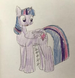 Size: 1046x1080 | Tagged: safe, artist:powerpup97, derpibooru import, twilight sparkle, twilight sparkle (alicorn), alicorn, hunger, hungry, sketch, solo, starving, stomach growl, stomach noise, traditional art