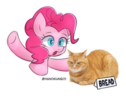 Size: 1500x1147 | Tagged: safe, artist:handgunboi, derpibooru import, pinkie pie, cat, earth pony, pony, bread, catloaf, food, sign, simple background, white background