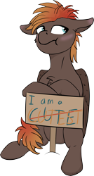 Size: 1859x3472 | Tagged: safe, artist:barhandar, oc, oc:ebony winds, pegasus, pony, blushing, cheek fluff, chest fluff, crossed arms, cute, ears, female, floppy ears, grump, mare, pony shaming, sign, signature, simple background, sitting, solo, tomboy, transparent background