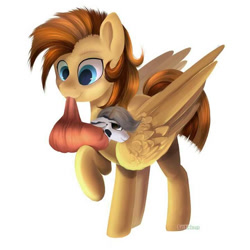 Size: 720x720 | Tagged: artist needed, source needed, safe, oc, oc only, pegasus, pony, foal, large wings, mouth hold, raised hoof, raised leg, simple background, white background, wings