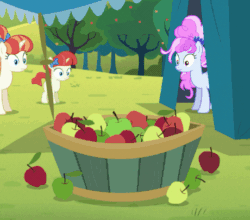 Size: 460x405 | Tagged: safe, screencap, apple bloom, cotton sky, rainberry, rainbow stars, earth pony, pegasus, pony, unicorn, brotherhooves social, angry, animated, apple, female, filly, food, foodplay, frown, gif, looking at you, mouth hold, puffy cheeks, reversed, spitting, stare
