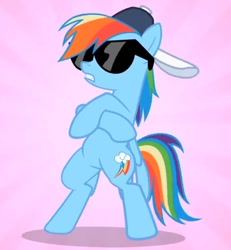 Size: 596x645 | Tagged: safe, derpibooru import, screencap, rainbow dash, pegasus, pony, may the best pet win, bipedal, blue coat, crossed hooves, hat, multicolored mane, multicolored tail, pink background, simple background, sunglasses