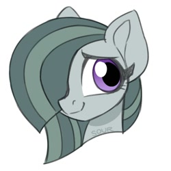 Size: 1000x1000 | Tagged: safe, artist:sickly-sour, derpibooru import, marble pie, earth pony, pony, female, head only, mare, simple background, solo, white background