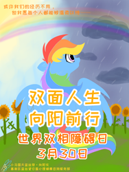 Size: 1500x2000 | Tagged: safe, artist:lrivulet, derpibooru import, rainbow dash, bipolar, chinese, depression, flower, mental illness, poster, psychology, rain, rainbow, solo, sunflower, sunny