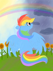 Size: 1500x2000 | Tagged: safe, artist:lrivulet, derpibooru import, rainbow dash, bipolar, depression, flower, mental illness, psychology, rain, rainbow, solo, sunflower, sunny