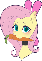 Size: 1324x1943 | Tagged: safe, artist:taytinabelle, derpibooru exclusive, fluttershy, pegasus, pony, animal costume, blushing, bunny costume, bunny ears, bust, carrot, choker, clothes, collar, costume, cute, ear fluff, ears, female, food, image, looking at you, mare, mouth hold, png, shyabetes, simple background, solo, transparent background