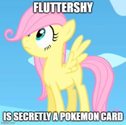 Size: 503x496 | Tagged: safe, derpibooru import, edit, edited screencap, screencap, fluttershy, pegasus, pony, the cutie mark chronicles, caption, female, filly, image macro, imgflip, meme generator, text