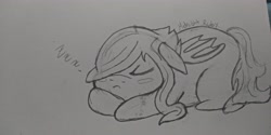 Size: 4160x2080 | Tagged: safe, artist:softdarkness, derpibooru import, oc, oc:midnight ruby, bat pony, bat pony oc, chibi, chubby, monochrome, onomatopoeia, sleeping, sound effects, wings, zzz