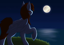 Size: 1063x752 | Tagged: artist needed, safe, derpibooru import, oc, oc only, oc:pegasusgamer, pegasus, full body, full moon, moon, night, ocean, one hoof raised, wings