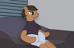 Size: 1302x847 | Tagged: artist needed, safe, derpibooru import, oc, oc only, earth pony, pony, clothes, male, pants, shirt, sitting, smiling, sofa, solo, stallion, t-shirt