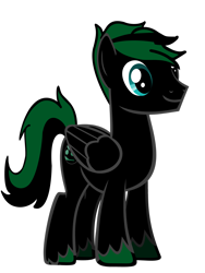 Size: 2121x2828 | Tagged: safe, artist:xboomdiersx, derpibooru import, oc, oc only, oc:boomdier, pegasus, absurd resolution, male, pegasus oc, red and black oc, simple background, solo, transparent background, unshorn fetlocks, vector