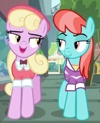 Size: 1202x1480 | Tagged: safe, derpibooru import, screencap, luckette, strawberry ice, earth pony, pony, fake it 'til you make it, cropped, duo, female, looking at each other, mare