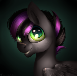 Size: 3000x2954 | Tagged: safe, artist:cornelia_nelson, derpibooru import, oc, pegasus, bust, gradient background, looking at you, male, pegasus oc, portrait, smiling, solo, stallion, two toned mane