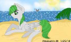 Size: 854x512 | Tagged: safe, artist:aquashock_70, derpibooru import, oc, oc only, oc:dreamer skies, pegasus, pony, whale, beach, chest fluff, cloud, eyebrows visible through hair, folded wings, lying down, male, ocean, outdoors, pegasus oc, sand, sky, smiling, solo focus, stallion, sun, water, wings