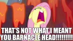 Size: 2100x1180 | Tagged: safe, derpibooru import, edit, edited screencap, screencap, fluttershy, sweet and smoky, angry, caption, derpibooru, dying for pie, image macro, juxtaposition, juxtaposition win, meme, meta, out of character, quote, reference, spongebob squarepants, squidward tentacles, text, yelling